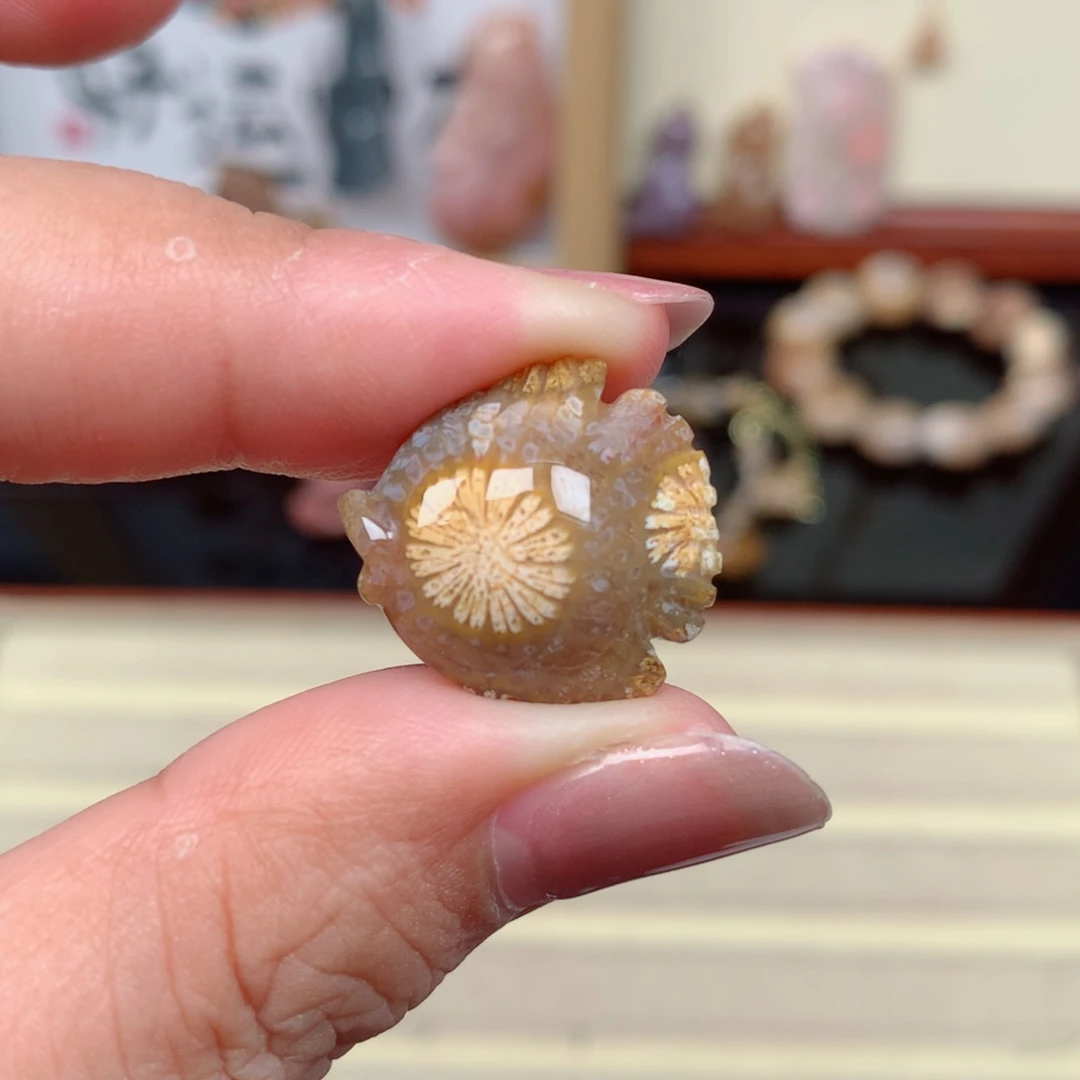 硅化玉珊瑚玉未镶嵌