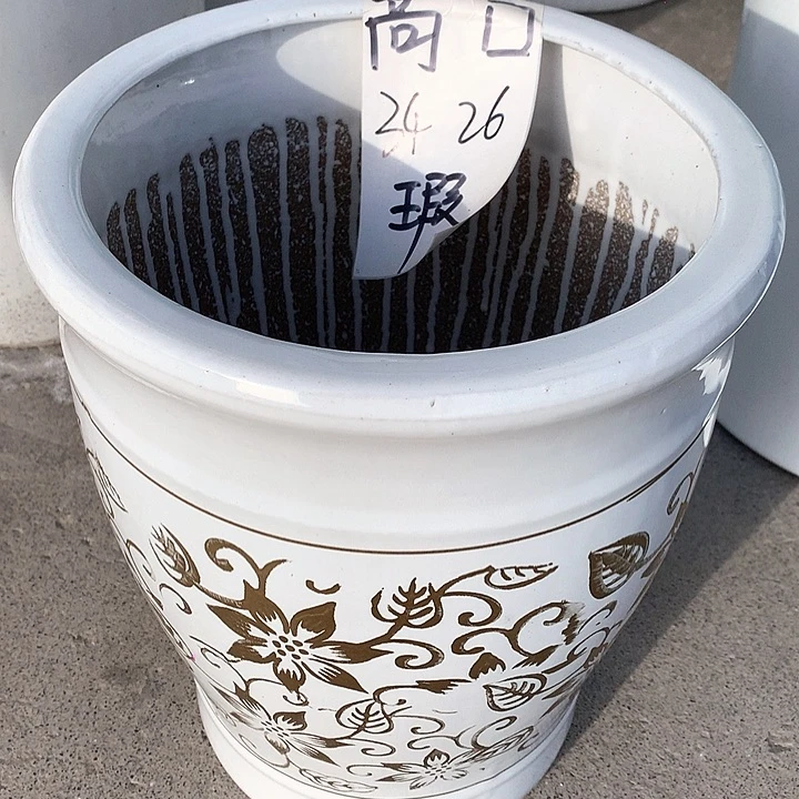 花盆陶瓷的白色金花中号