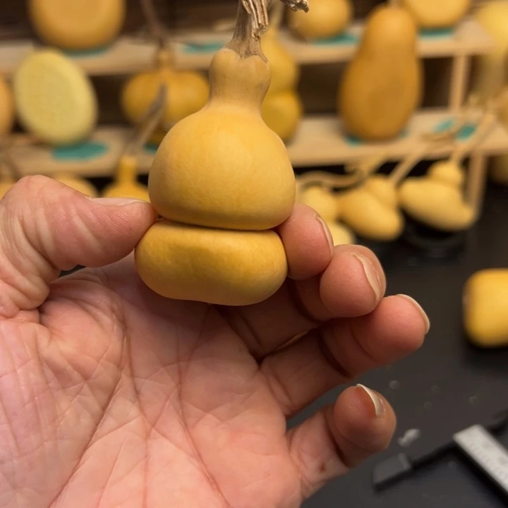 千入库葫芦葫芦葫芦葫芦葫芦