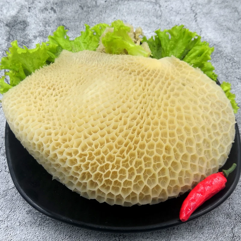 金钱肚牛肚新鲜毛肚非全熟牛杂速冻发货蜂窝肚 固形物含量90