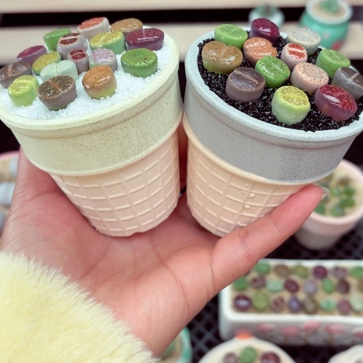 7012零下地区记得拍保温箱箱