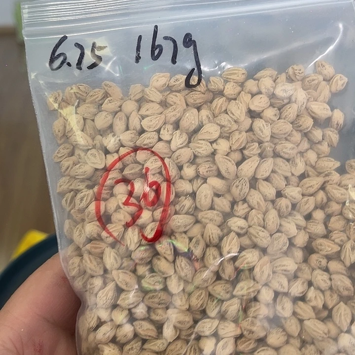 手串柏香籽/百香籽36号6.75+167克LA029