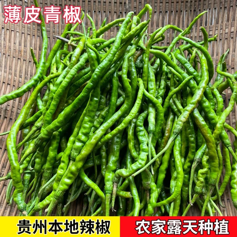 (主播专属)贵州本地露天种植鱼秋辣螺丝椒二荆条新鲜辣椒新鲜采摘