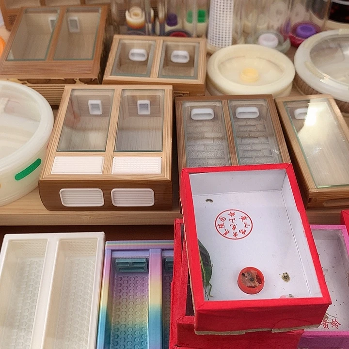 鸟***香一盒黄蛉一盒竹蛉