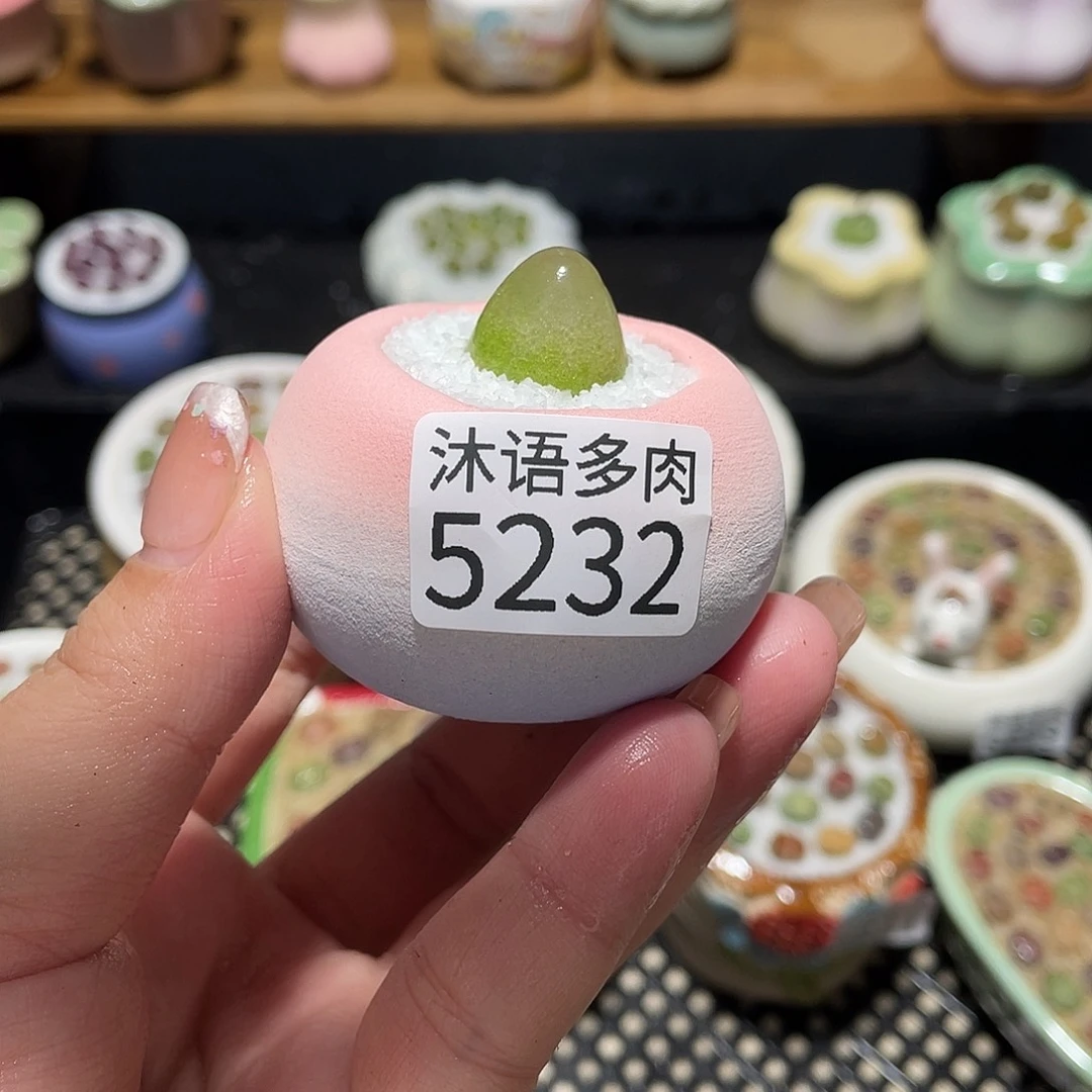 带盆土植物 一物一拍5232