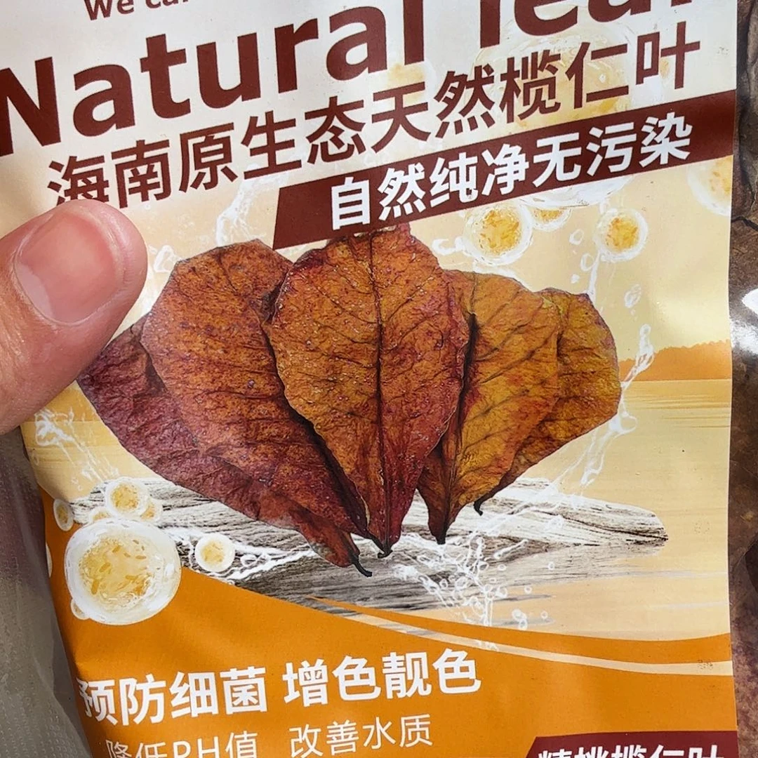 母绿毛龟6666666666666666