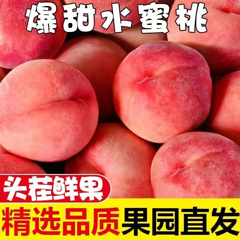 陕西新鲜应季水蜜桃脆桃毛桃露天种植现摘现发软硬两吃