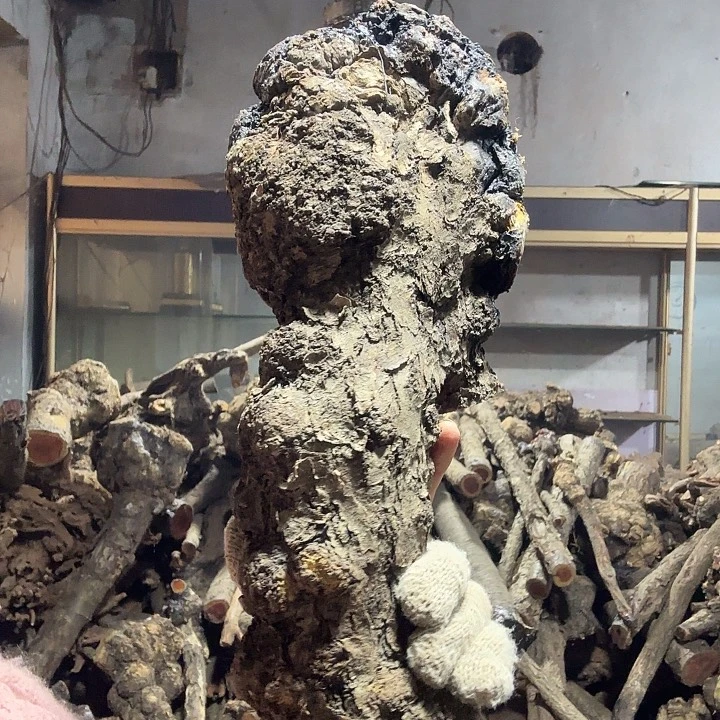 老***店香榧木火琉璃的故事是一个故事