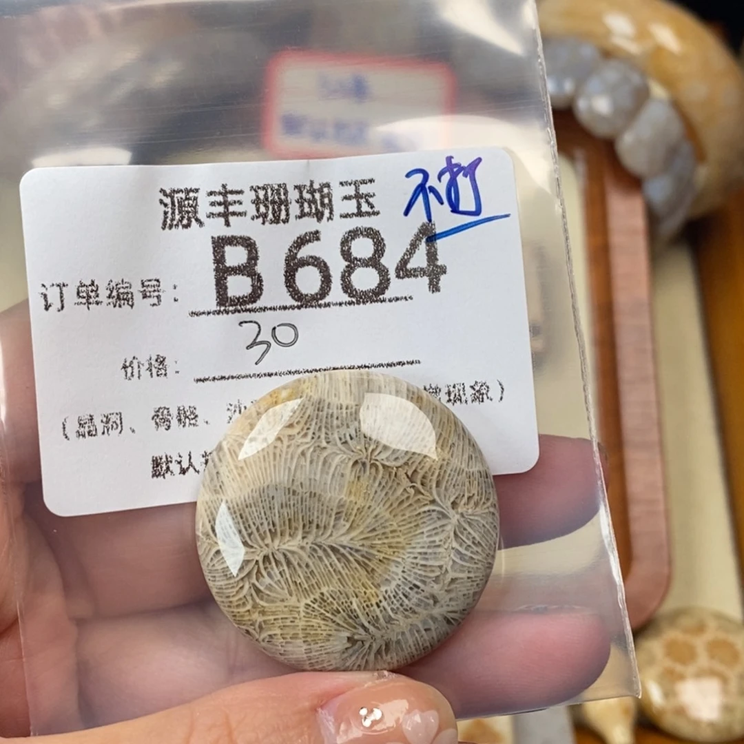 栀***欣未镶嵌颈饰硅化玉