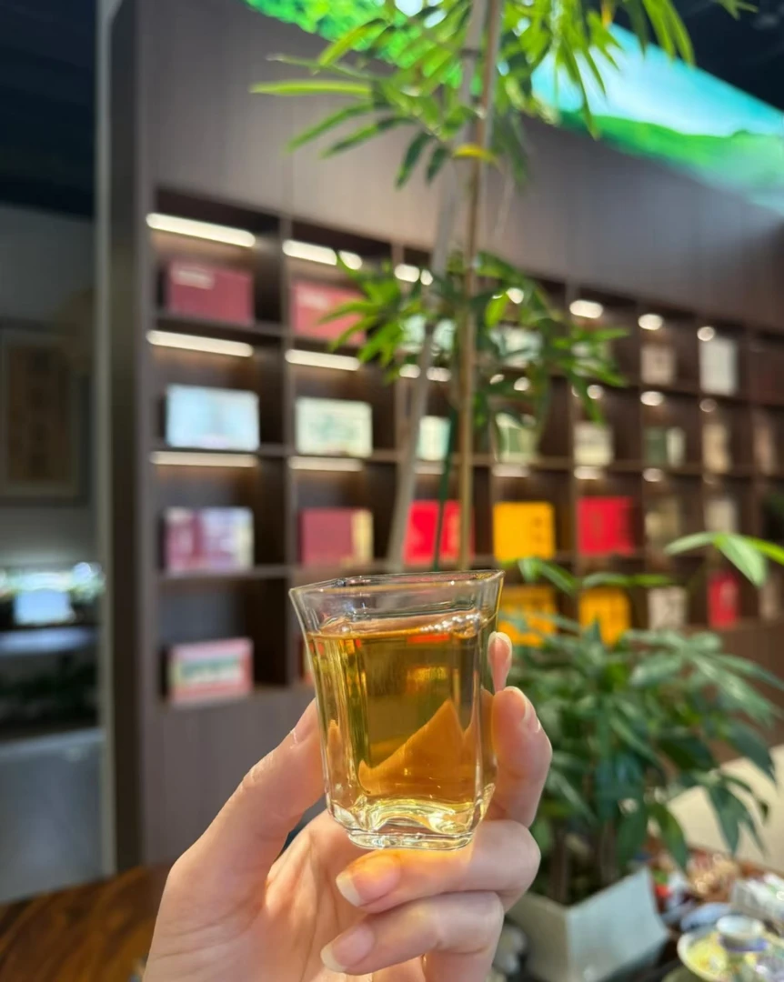 凤凰窝古树普洱茶生茶357g