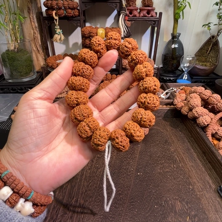 天***道手串金刚菩提夹板