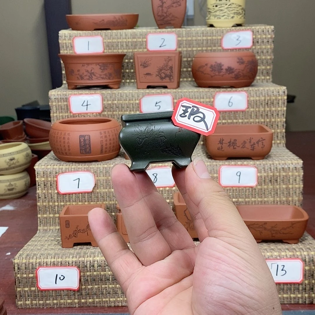 紫砂花盆在看书了