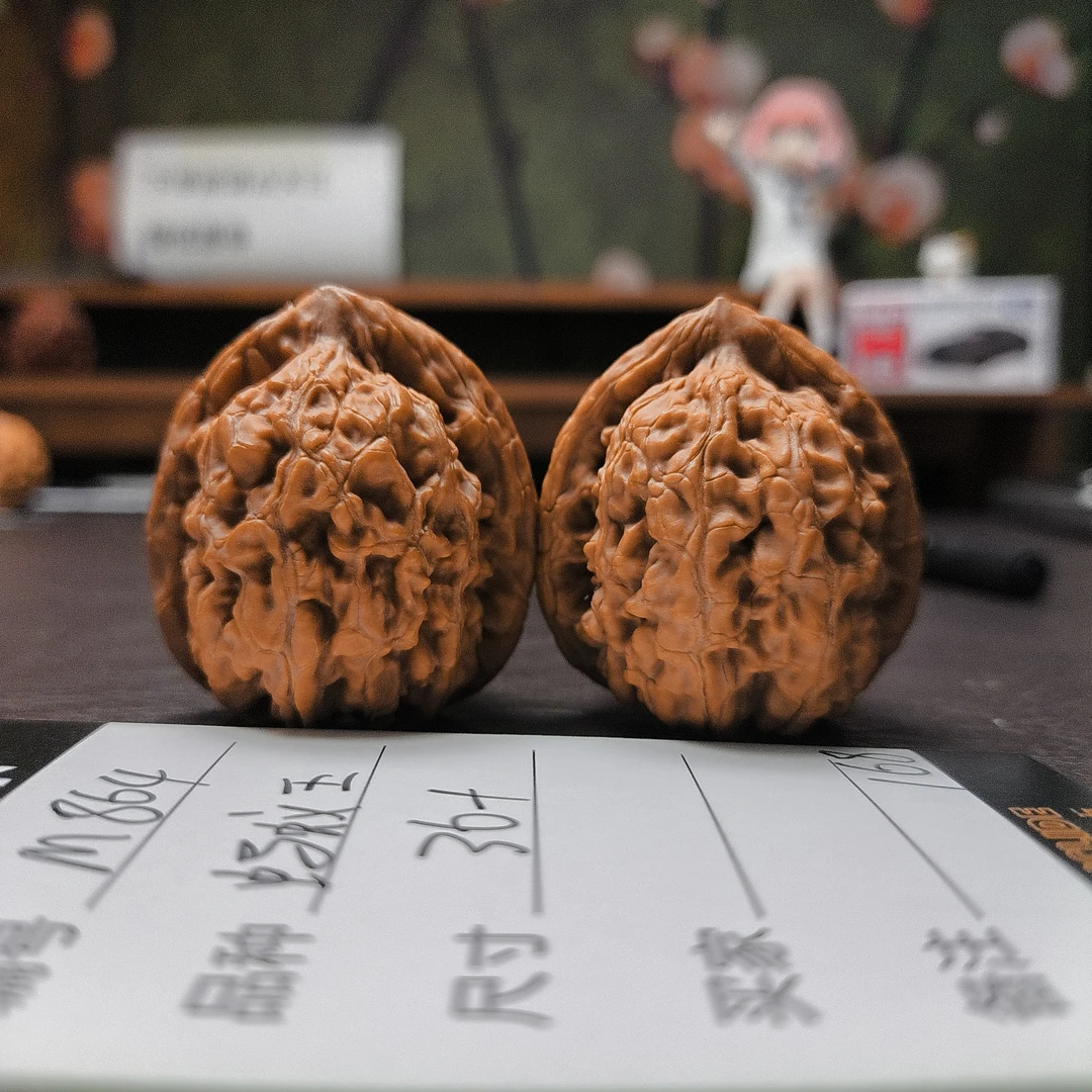 【文玩核桃】蚂蚁王36+（M864）