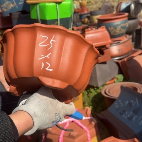 紫砂花盆紫砂花盆盆景盆栽