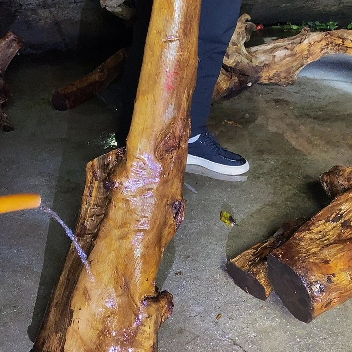 关***心楠木（金丝楠）手串/手链