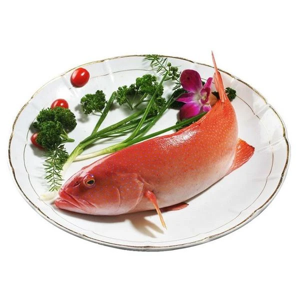鲜活红东星斑 700-750g/条