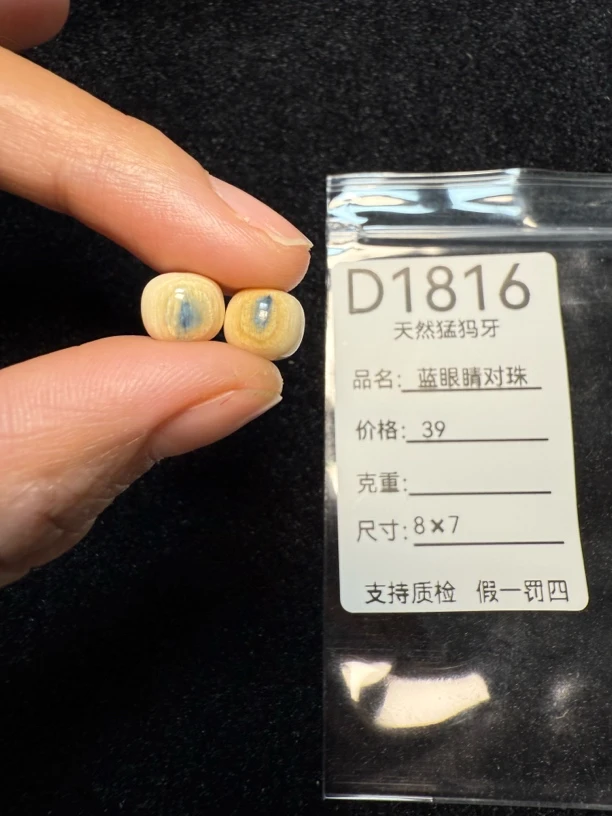 D1816天然猛犸牙蓝眼睛老型对珠配饰