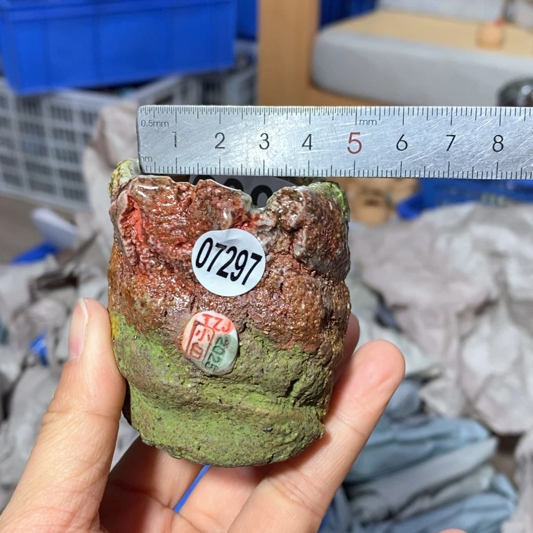 花盆拍3送一个小礼物