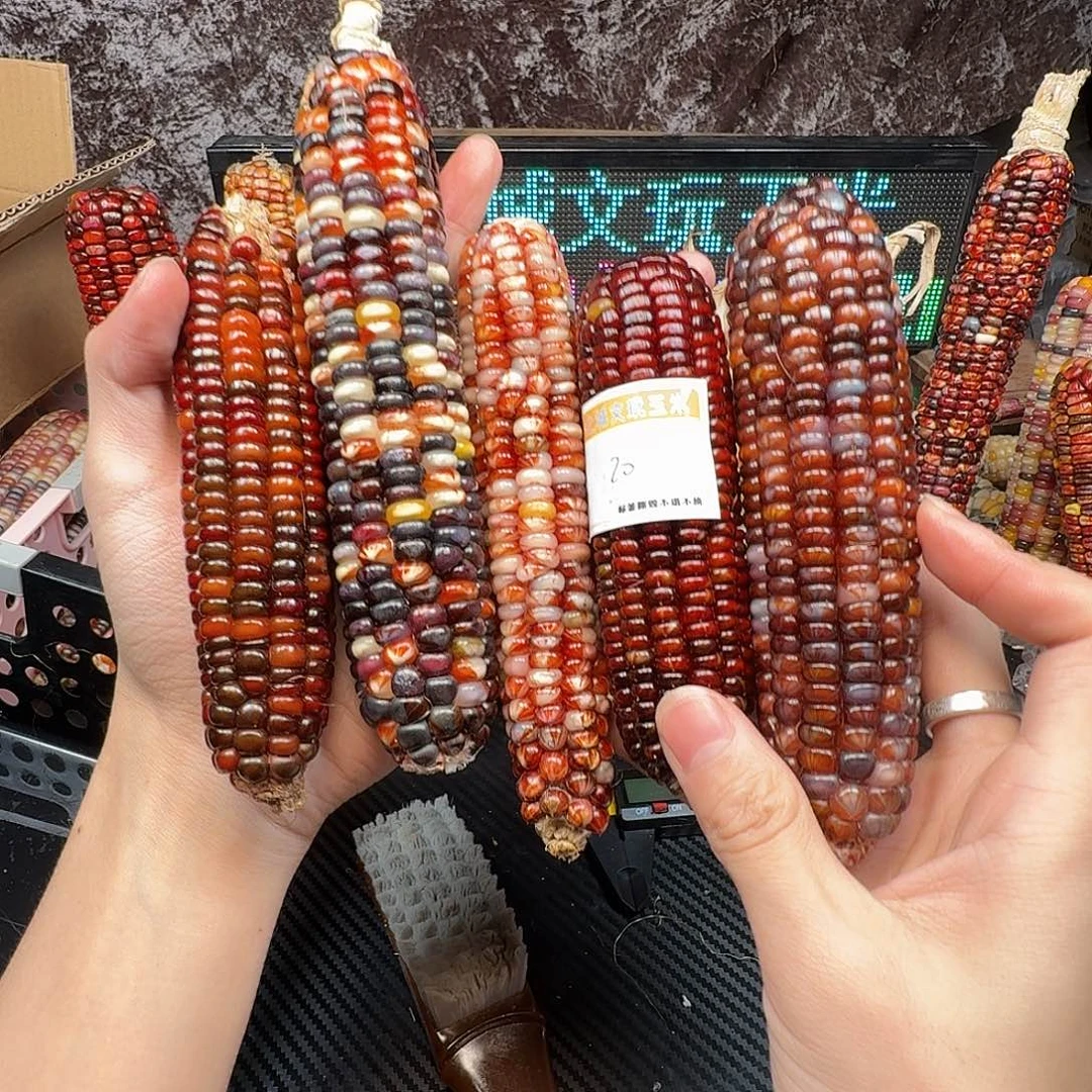 艾***）大叶紫檀（黑酸枝木类）