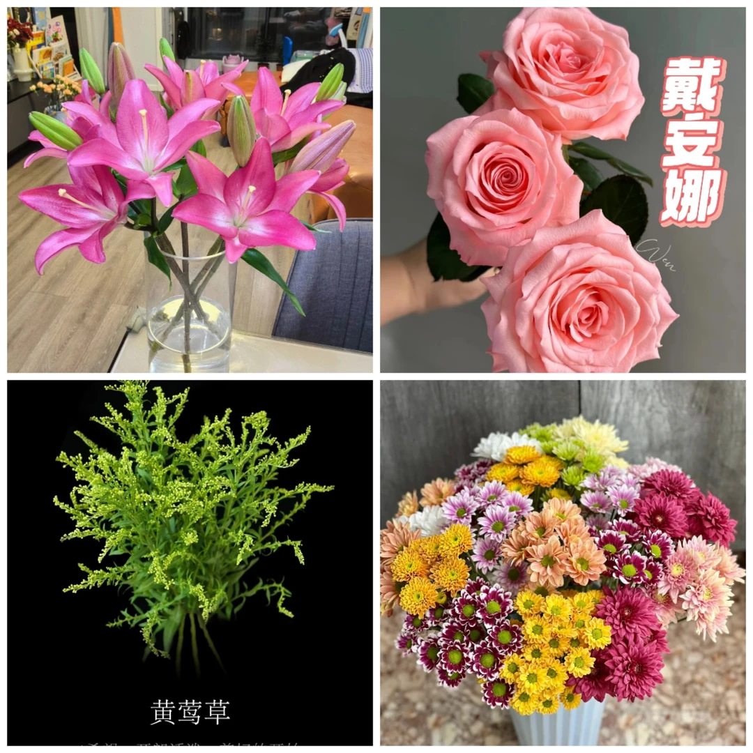 粉丝福利鲜花组合   居家办公优选《东北基地发货》