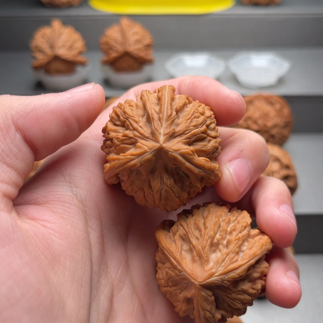 文玩核桃把件40御龙