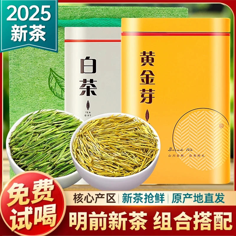 白茶黄金芽绿茶2025新茶茶叶自己喝浓香型正宗明前官方碧螺春茶叶