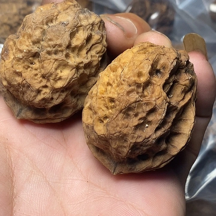 文玩核桃把件云南铁核桃92