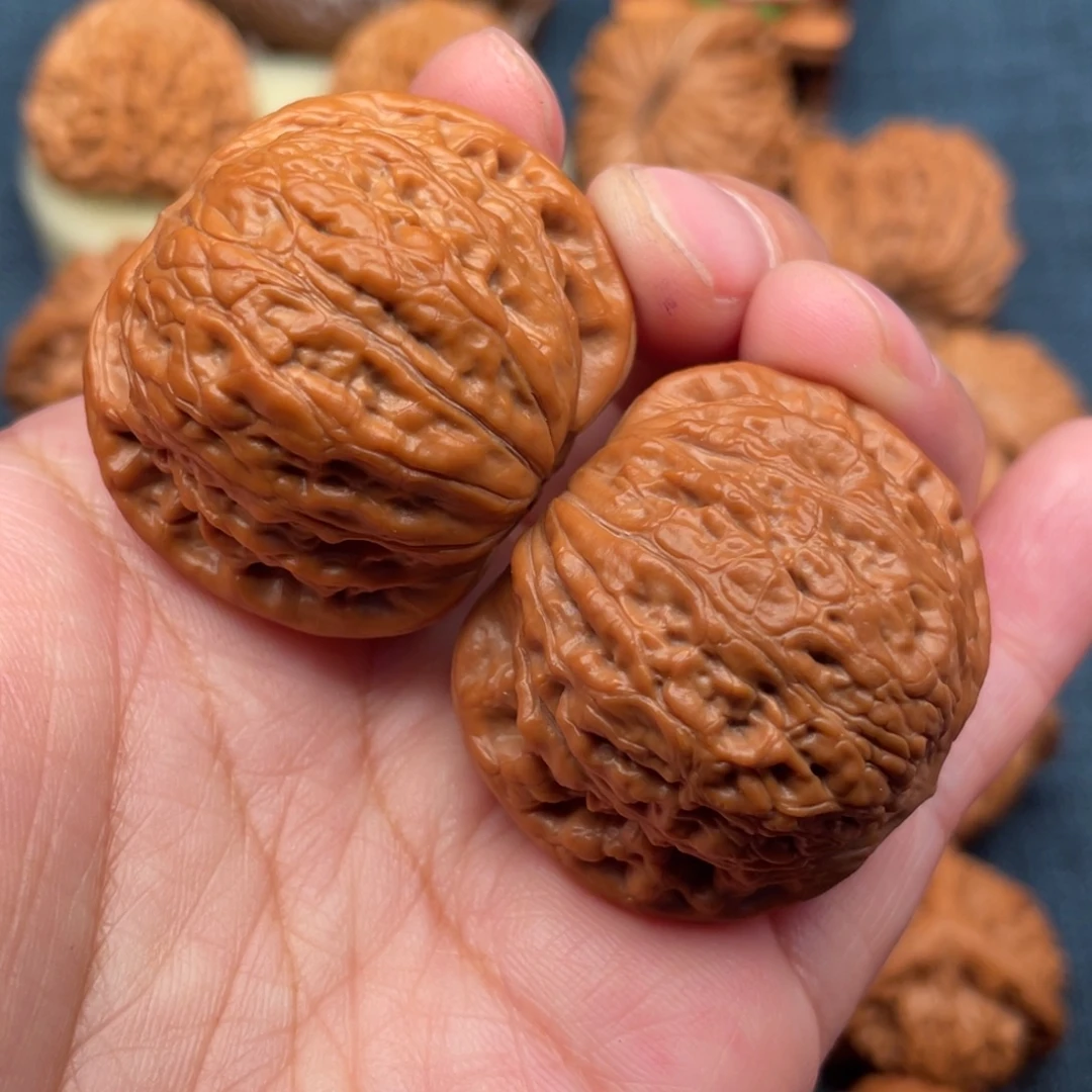 文玩核桃把件39毕业红皮铁锤全品