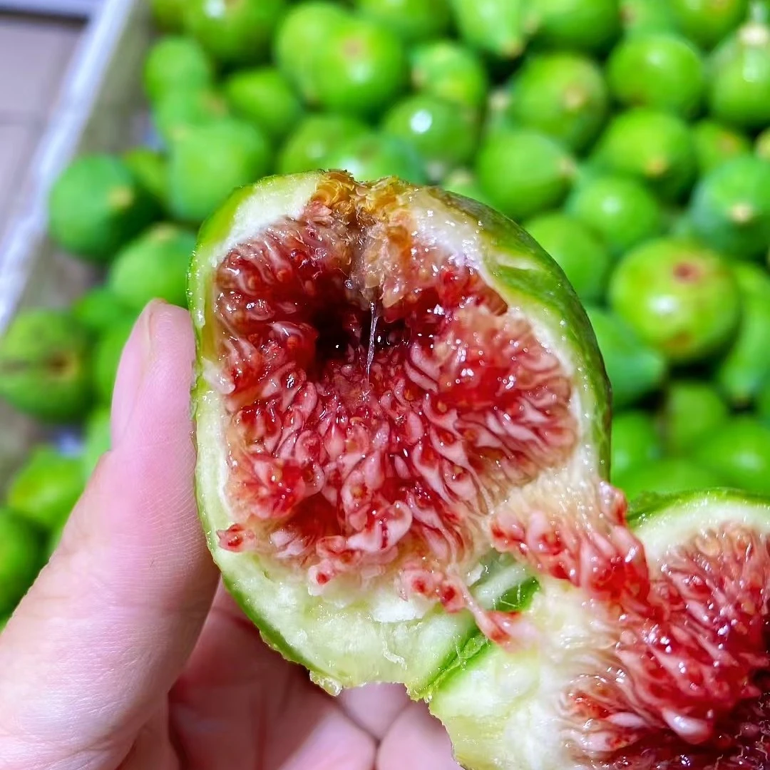 云南绿无花果（一份15个左右500克）