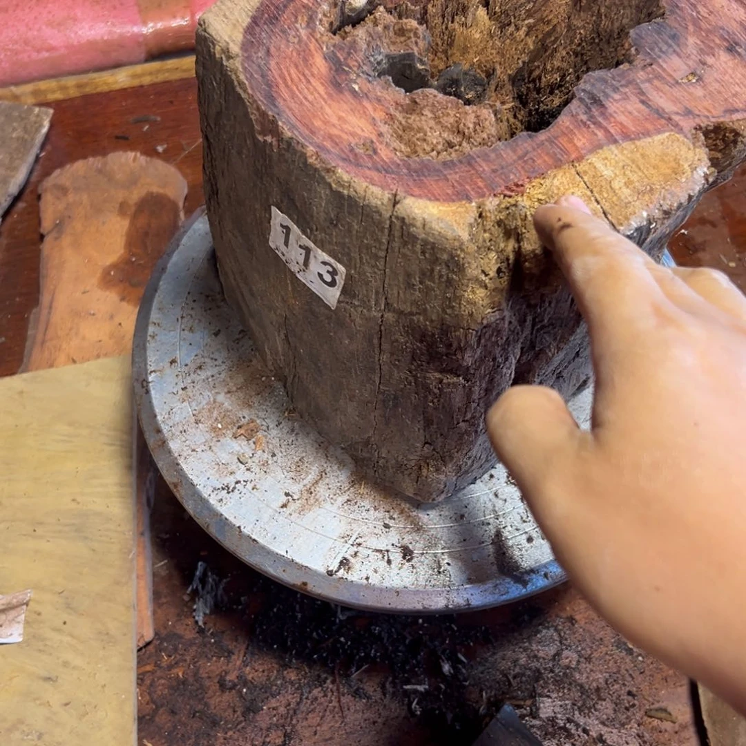 大果紫檀（缅甸花梨）