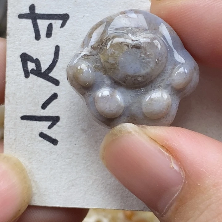 硅化珊瑚（珊瑚玉）未镶嵌颈饰