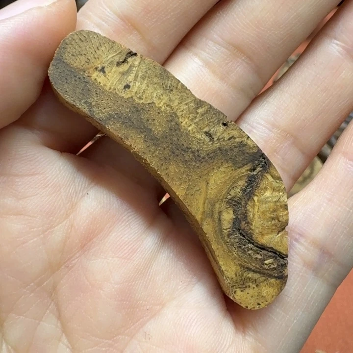 大叶紫檀（黑酸枝木类）