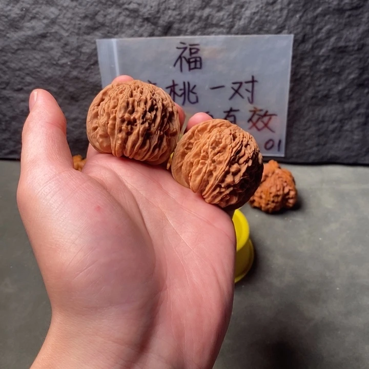 核桃等经济林果的食物都