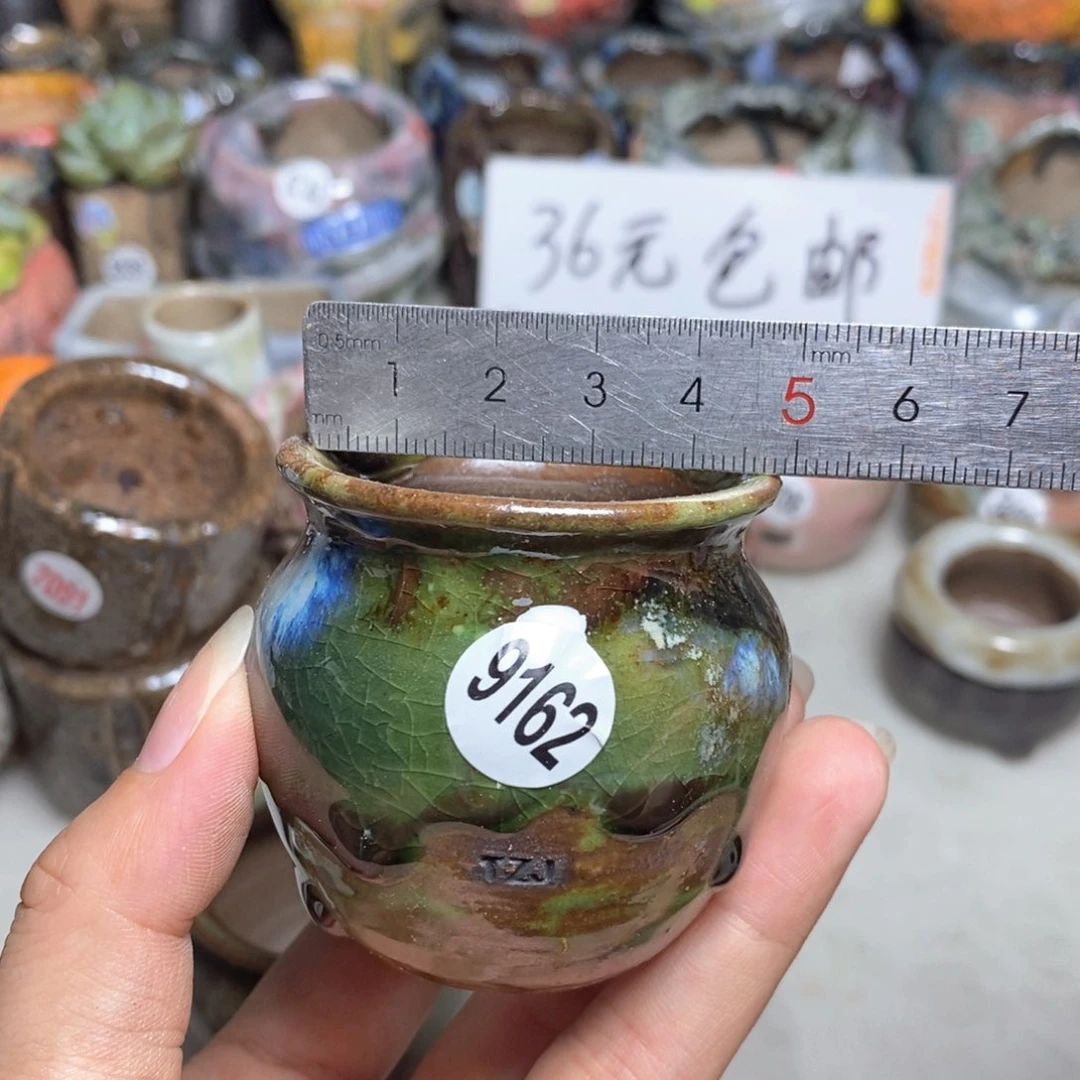 拍5送一个小礼物