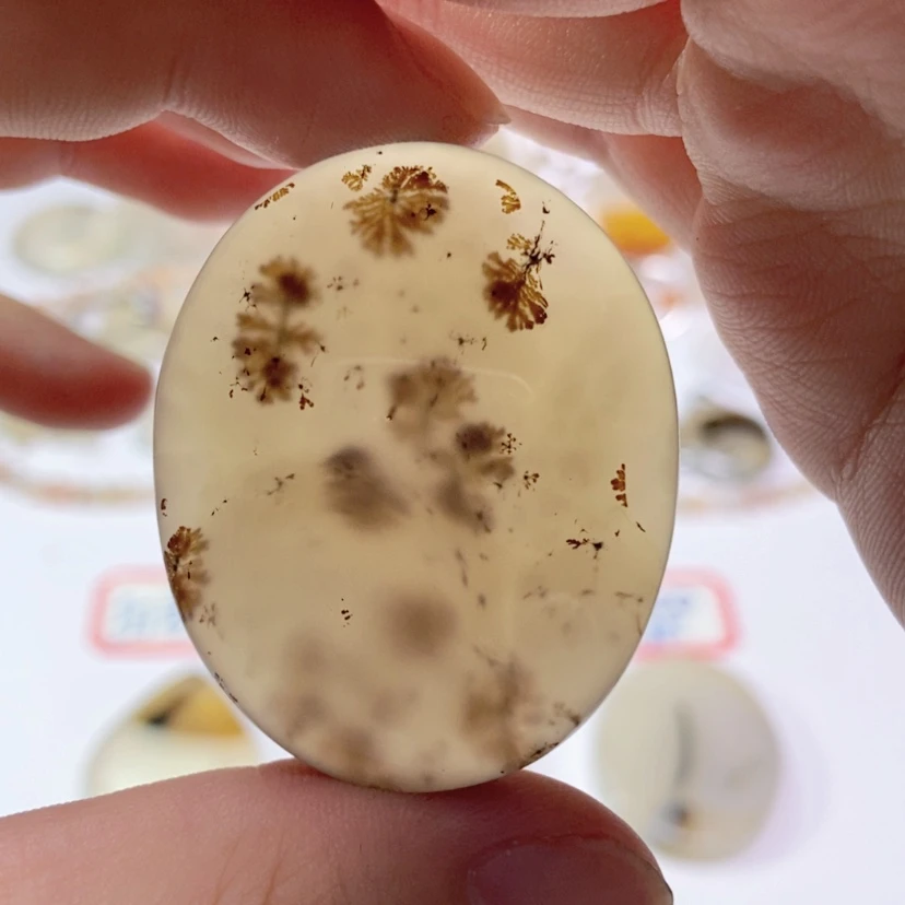 【闪购商品】玛瑙/玉髓颈饰未镶嵌