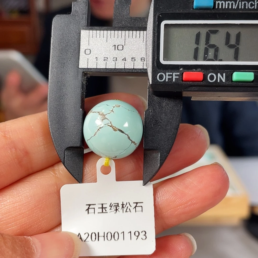 绿松石颈饰未镶嵌