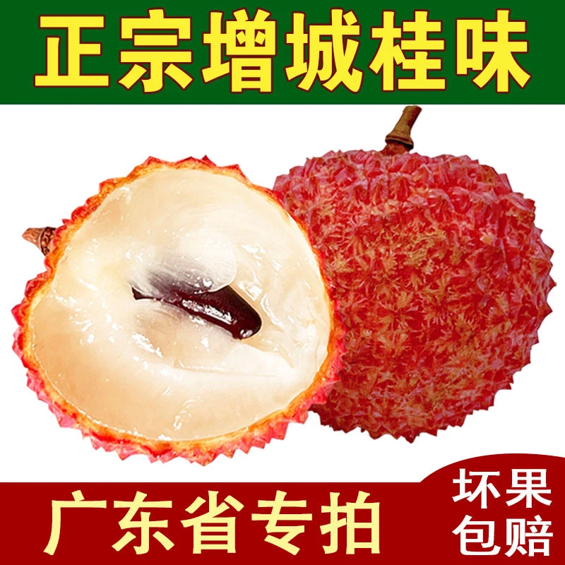 【广东省的地址专拍】增城桂味荔枝5斤/10斤/3斤爽口清甜靓果新鲜