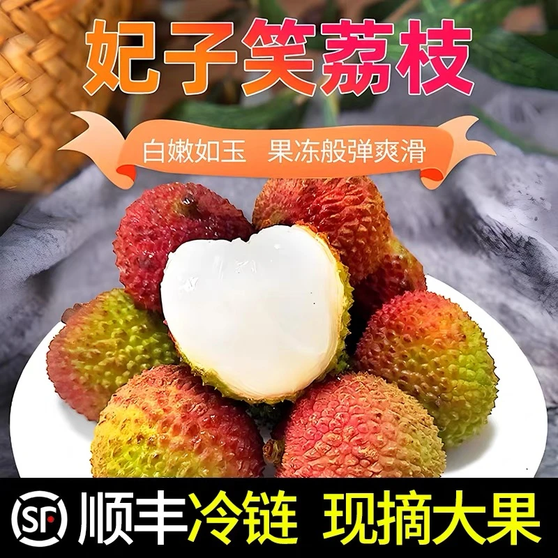 增城荔枝  妃子笑【5斤装】新鲜荔枝 果园现摘直发