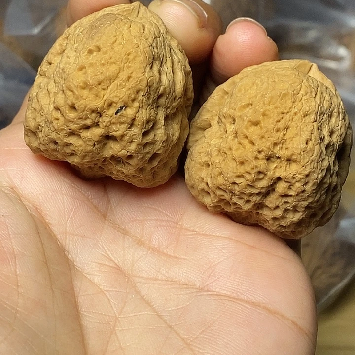 把件文玩核桃云南铁核桃79