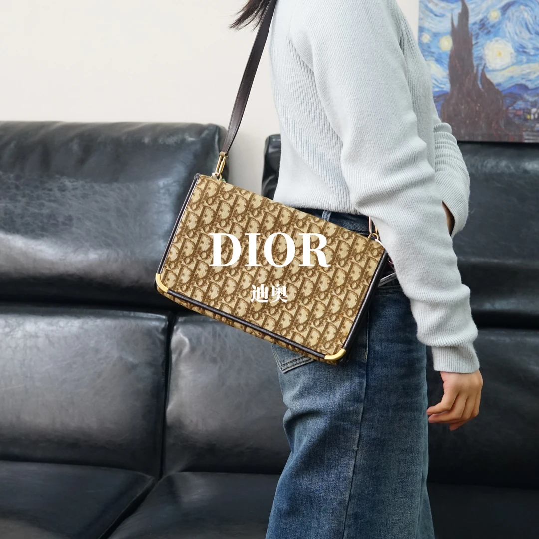 95新 DIOR/迪奥 老花单肩包/PR01523002/3002