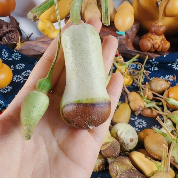 不***一嘎嘎嘎嘎嘎怕怕怕怕怕怕怕