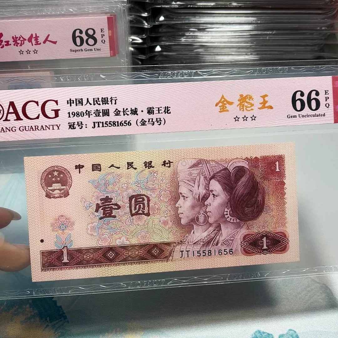 15581656。。。。。金马