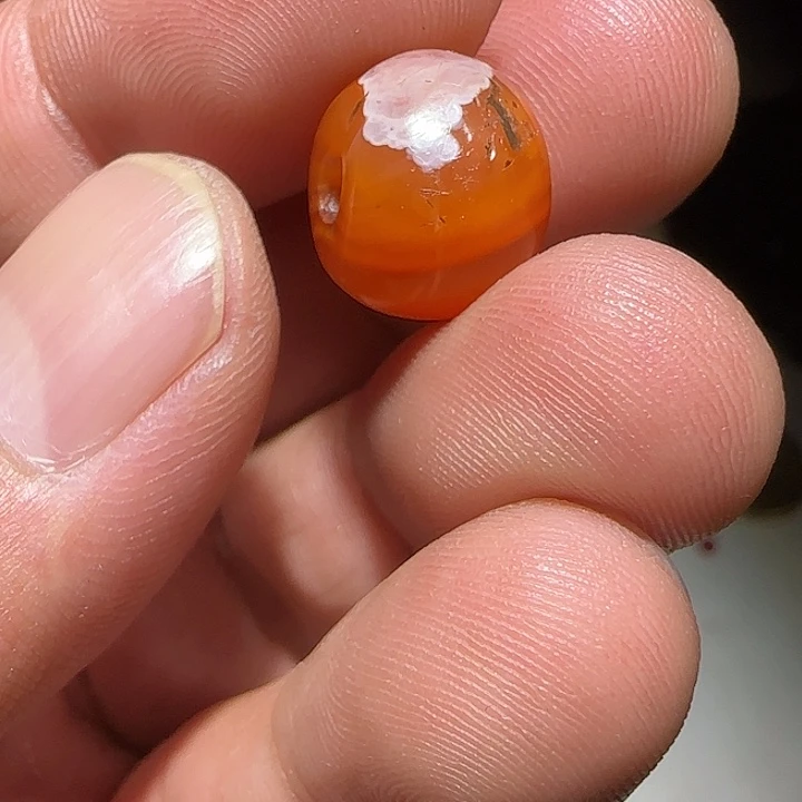 藏区老纳红保老漂亮