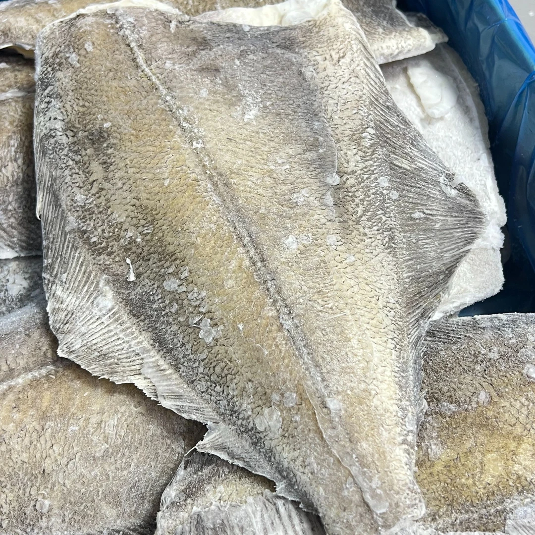 【1号】深海鲽鱼身 直播称重  现称现发