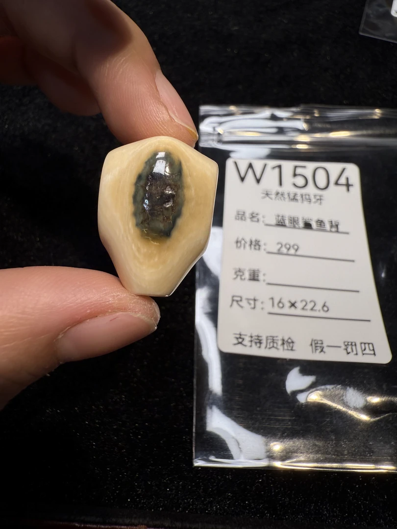 W1504天然猛犸牙蓝眼鲨鱼背配饰