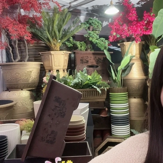 复合盆景895669655555