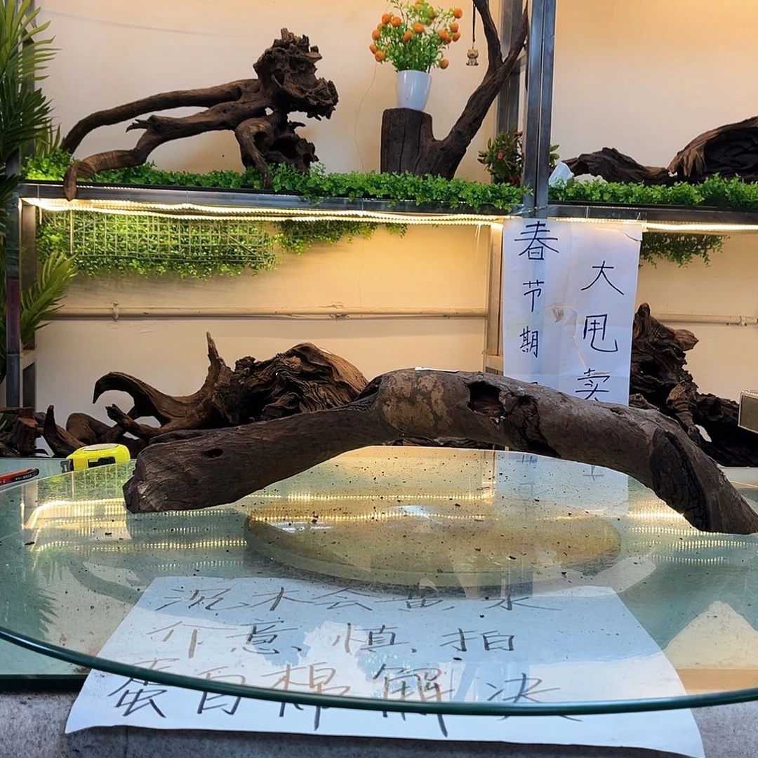 柚木′****終沉木鱼缸造景