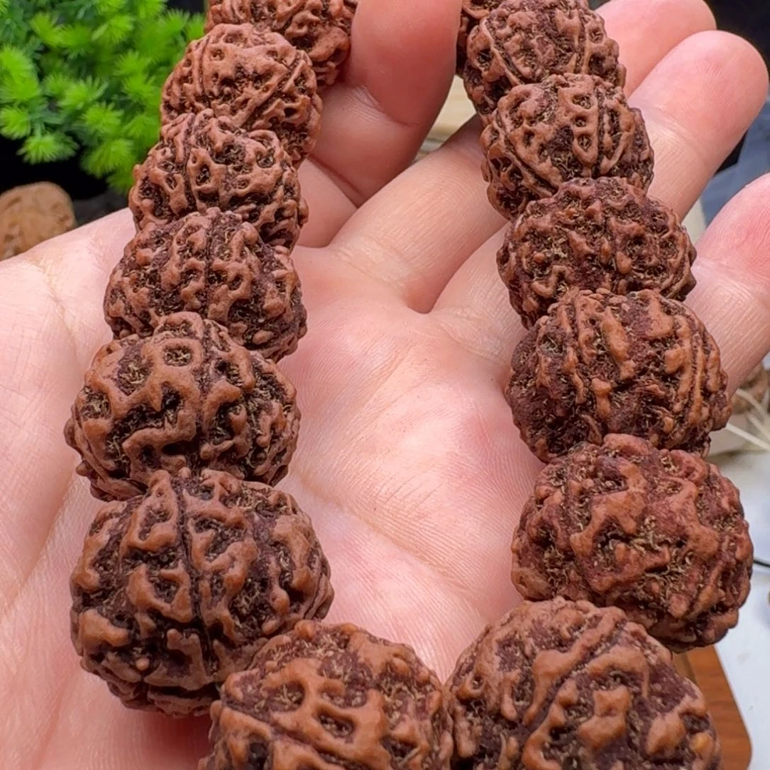 金刚菩提手串蜂窝双龙