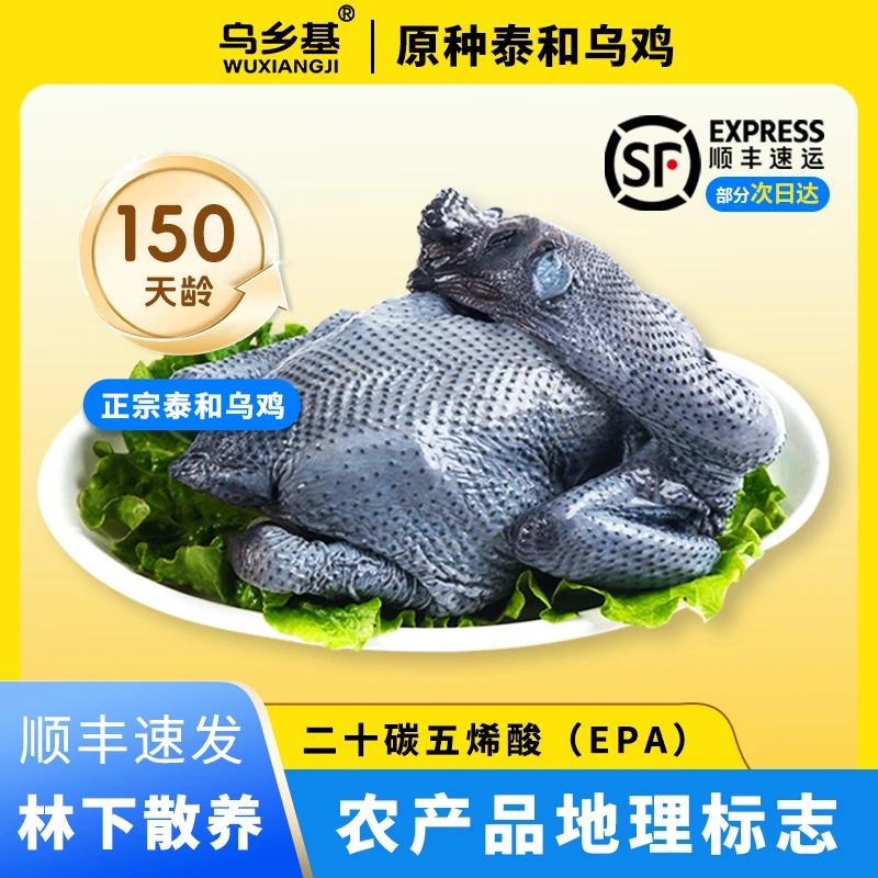 【乌乡基】150天原种泰和乌鸡散养营养美味健康新鲜鲜活现杀