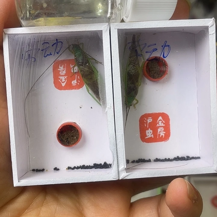 劳***民哈哈哈哈哈哈哈哈哈